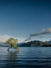 lt;Honor calls for N