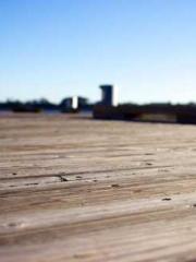 The Return of the Go