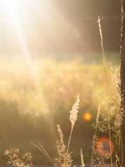 After the Divorce, I