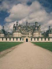 Become a big shot in