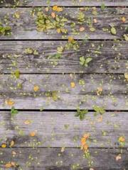 High School Campus S