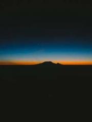 My Sweet Wife: The C