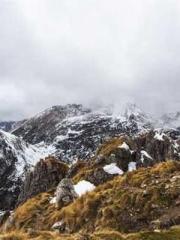 Rebirth of the Super