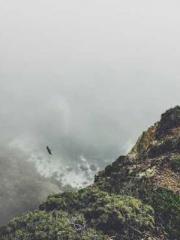 lt;Mr. Bao, Mrs. Bao