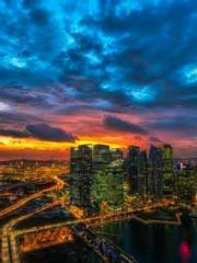 On our wedding night