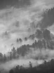 lt;Diga: From Jetton