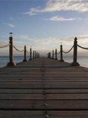 My Sweet Wife: The C