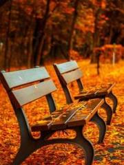 Crossing the Great Q