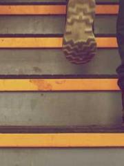 Super Dimensional Me