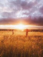 High School Campus S