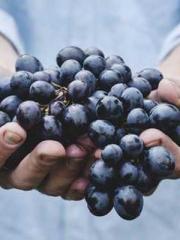 The Return of the Go