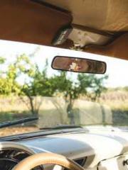 The Apothecaryapos;s