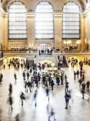 The Poisonous Doctor