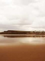 Dangerously Close to