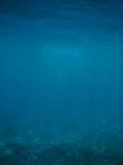 The wife wishes to b