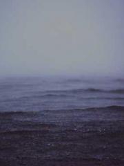 The Apothecaryapos;s